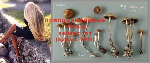 ALPHA-PVP Алексин